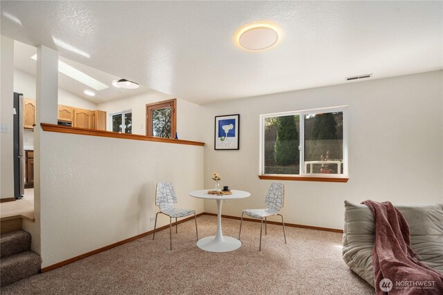 12204 30th St NE, Lake Stevens, WA 98258 - living area with baseboards, vaulted ceiling with skylight, visible vents, and carpet