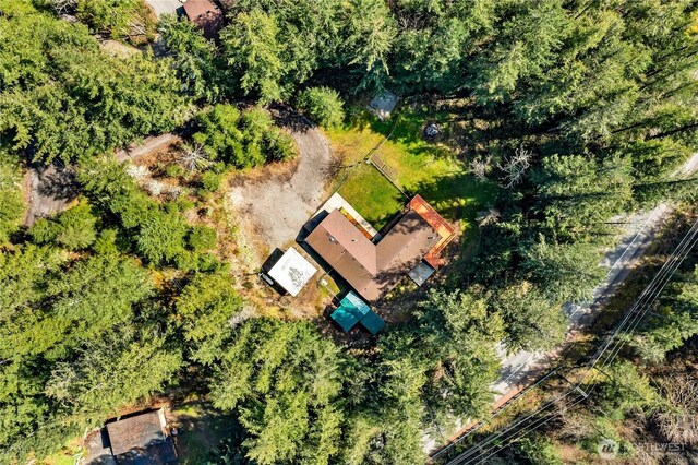 28529 298th Pl SE, Ravensdale, WA 98051 - bird's eye view