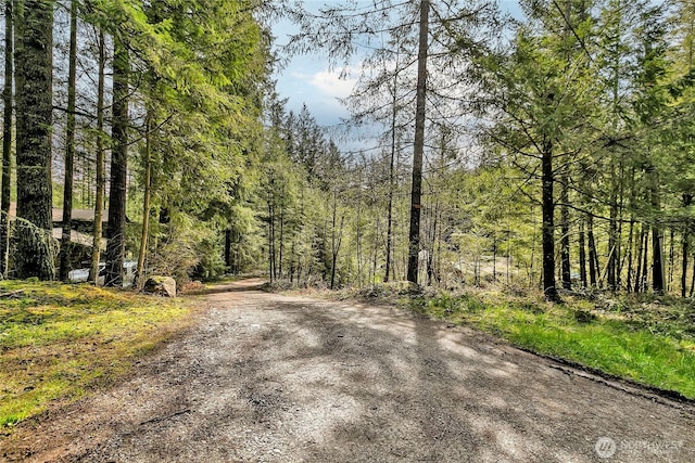 28529 298th Pl SE, Ravensdale, WA 98051 - view of road with a wooded view