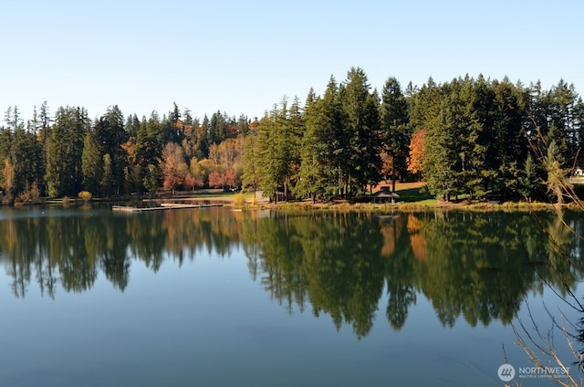 water view with a forest view