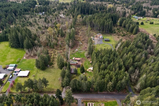 bird's eye view with a forest view