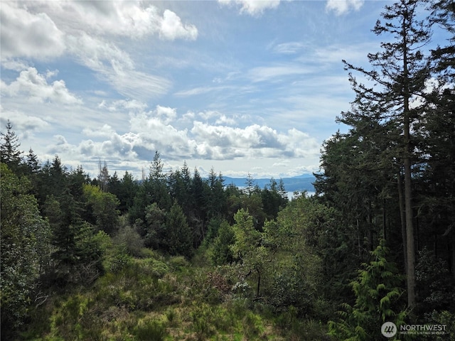 5612 Cape George Rd, Port Townsend, WA 98368 - view of nature with a view of trees