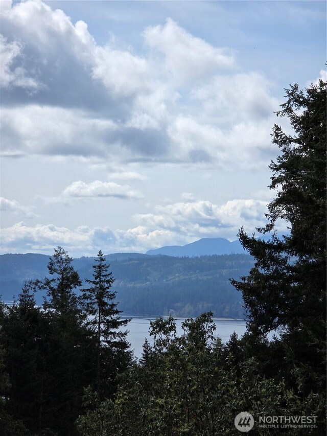 5612 Cape George Rd, Port Townsend, WA 98368 - view of mountain feature featuring a wooded view and a water view