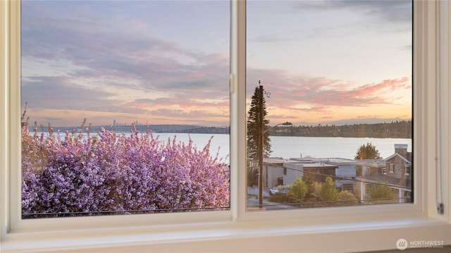 property view of water