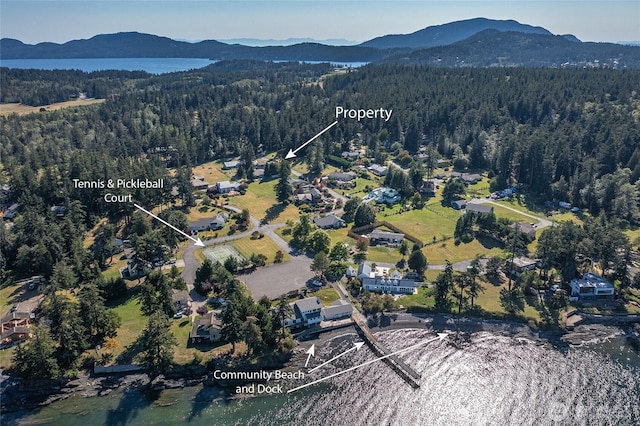 drone / aerial view with a forest view and a mountain view