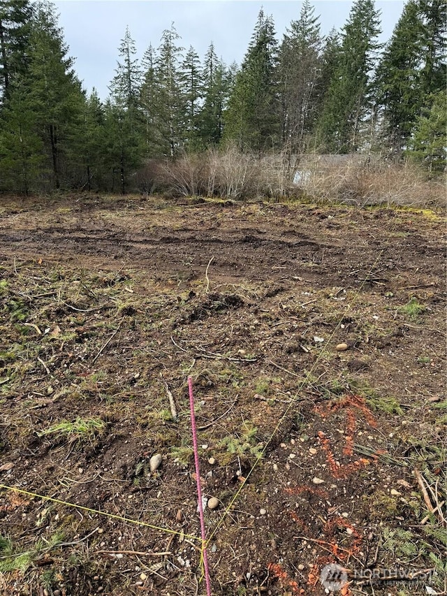 80 W Grizzly Ridge Rd, Shelton, WA 98584