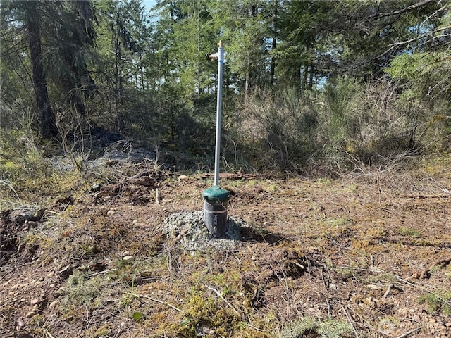 80 W Grizzly Ridge Rd, Shelton, WA 98584