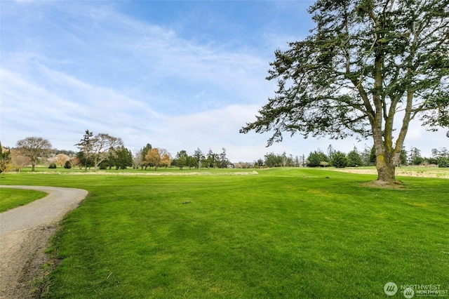 view of community featuring a lawn