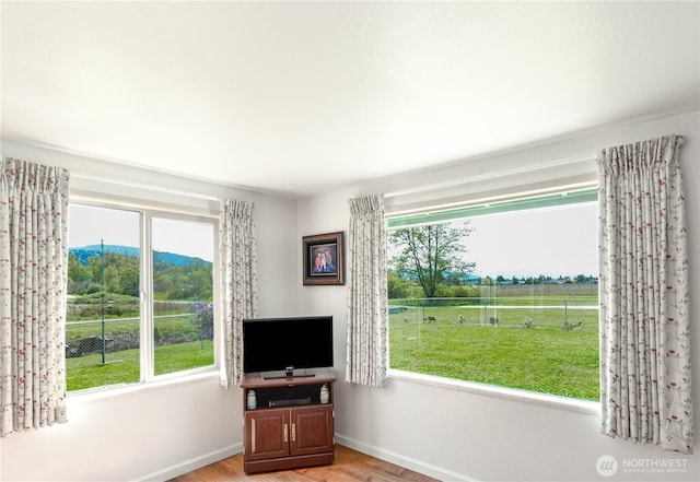 790 N Rhodefer Rd, Sequim, WA 98382 - living area featuring baseboards, light wood-style floors, and plenty of natural light