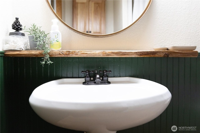 139 Mount Rainier Dr, Packwood, WA 98361 - bathroom with a textured wall and a sink