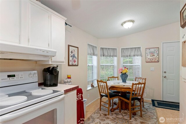dining room with baseboards and light wood-style flooring
