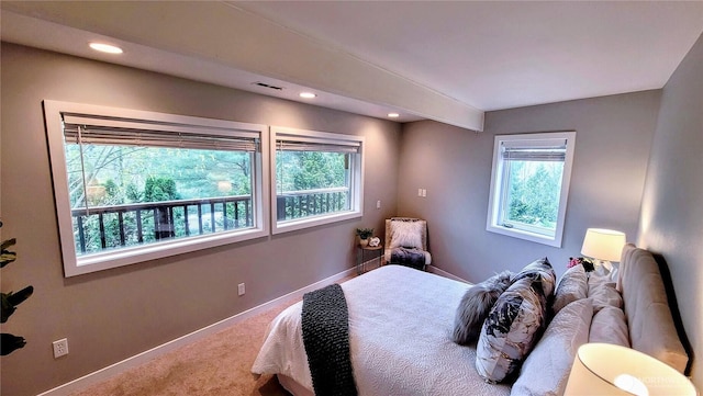 2205 135th Pl SE, Bellevue, WA 98005 - carpeted bedroom with baseboards and recessed lighting