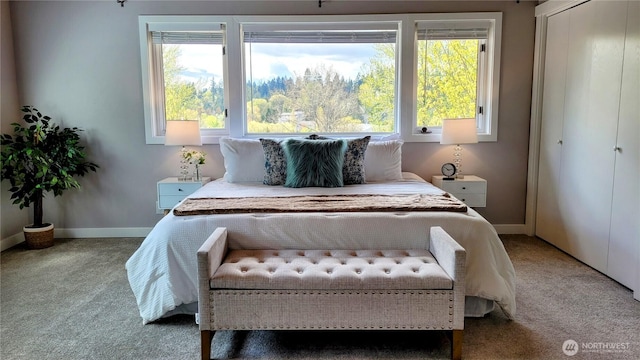 2205 135th Pl SE, Bellevue, WA 98005 - bedroom with carpet floors, baseboards, and multiple windows