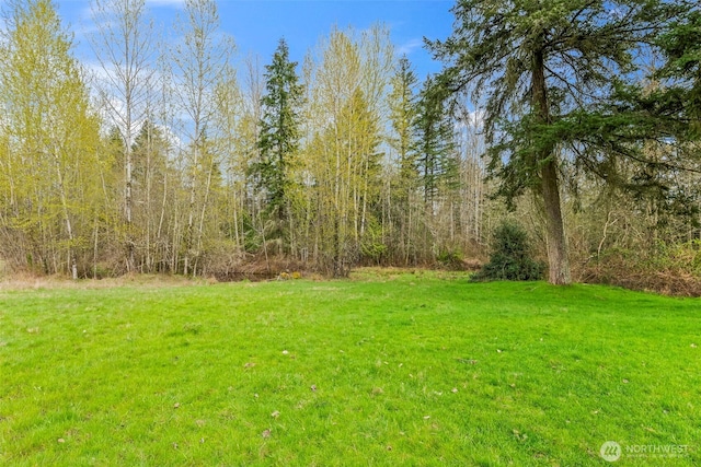 24709 148th Ave E, Graham, WA 98338 - view of grassy yard featuring a forest view