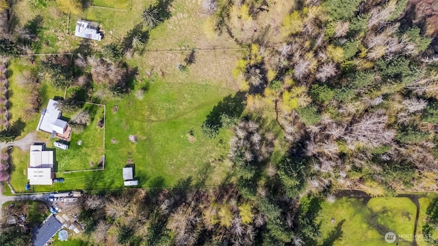 24709 148th Ave E, Graham, WA 98338 - bird's eye view