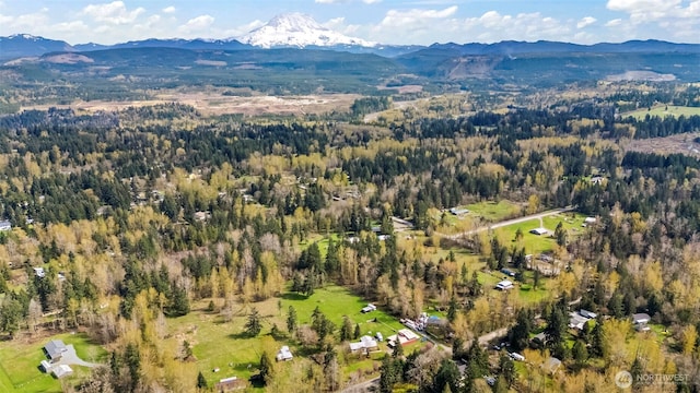 24709 148th Ave E, Graham, WA 98338 - aerial overview of property's location featuring a mountainous background and a heavily wooded area