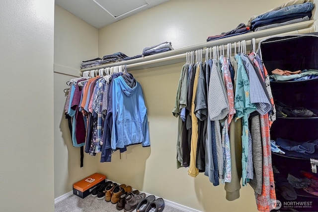 5786 Skagit Pl, Blaine, WA 98230 - walk in closet with carpet and attic access