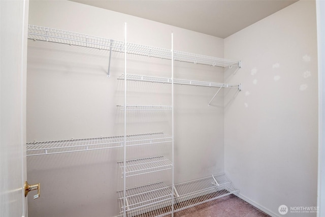 4802 Nassau Ave NE Unit 45, Tacoma, WA 98422 - spacious closet with carpet floors