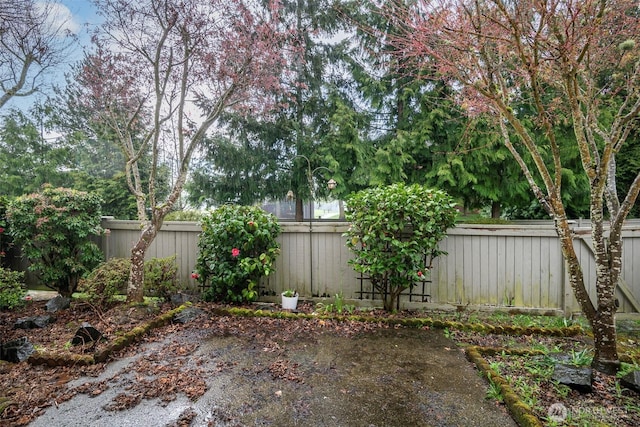 4802 Nassau Ave NE Unit 45, Tacoma, WA 98422 - view of yard with a fenced backyard