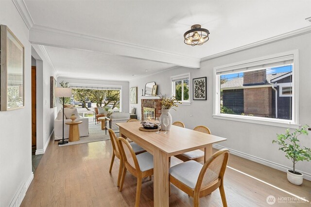 dining space with plenty of natural light, wood finished floors, and crown molding