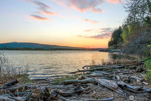 1192 E State Route 4, Cathlamet, WA 98612 - water view with mountains
