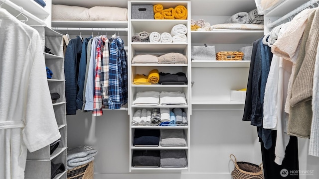view of walk in closet