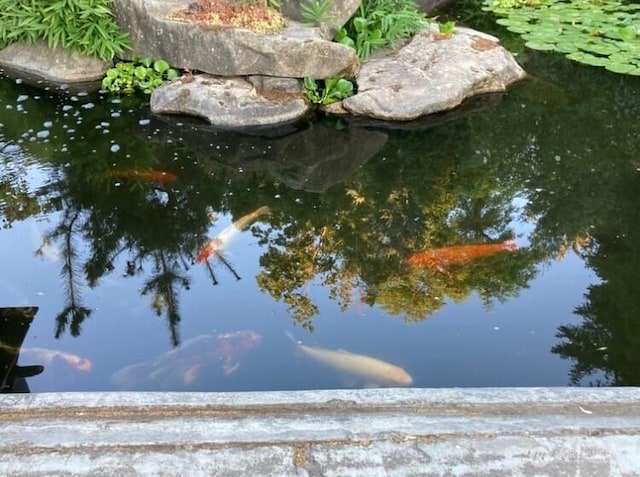 details with a small pond