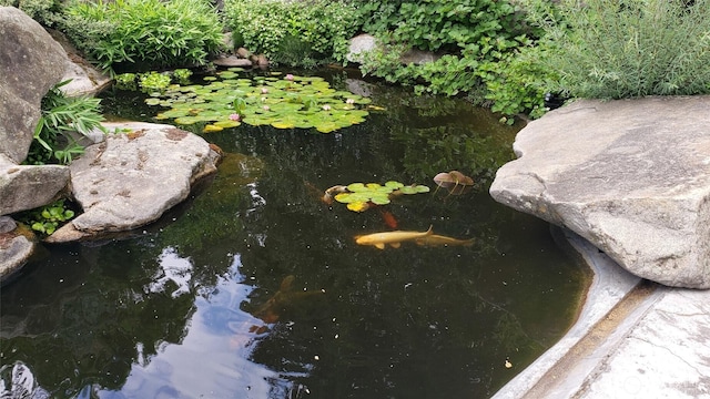 exterior details with a garden pond