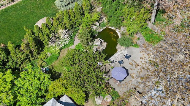 aerial view