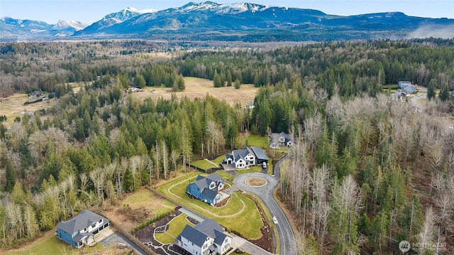 29009 126th St SE, Monroe, WA 98272 - photo 39