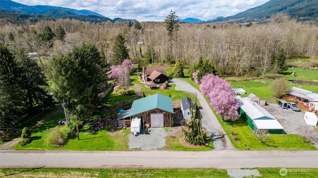 bird's eye view featuring a wooded view and a mountain view