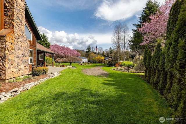 view of yard with a patio