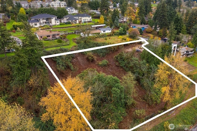 0XX SE 66th St, Newcastle, WA 98056 - photo 6