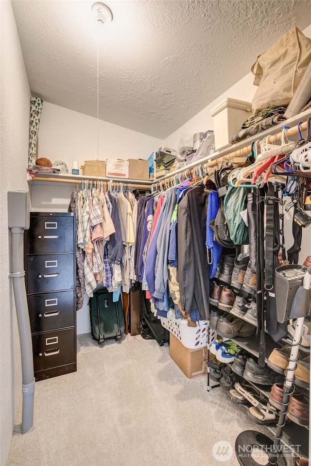 spacious closet featuring carpet flooring