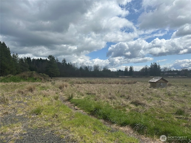 0 Nicholson Rd, Ethel, WA 98542 - photo 1