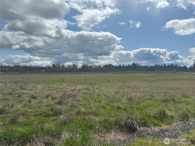 0 Nicholson Rd, Ethel, WA 98542 - photo 2