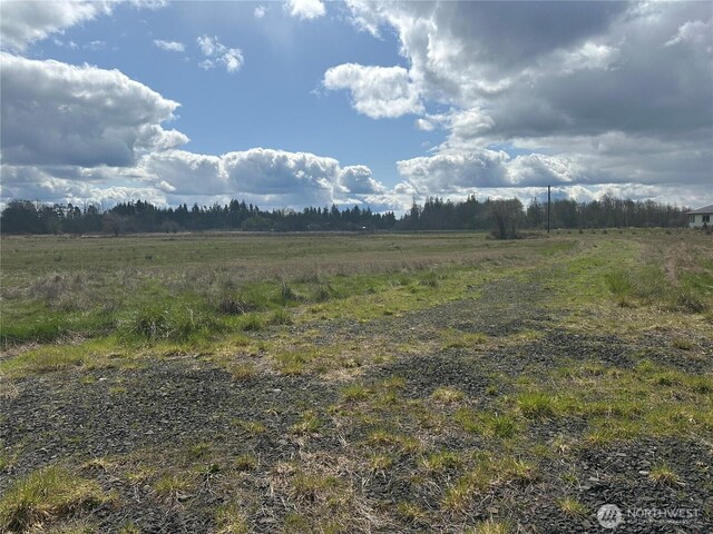 0 Nicholson Rd, Ethel, WA 98542 - photo 5