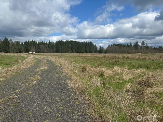 0 Nicholson Rd, Ethel, WA 98542 - photo 6