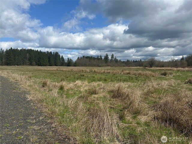 0 Nicholson Rd, Ethel, WA 98542 - photo 7