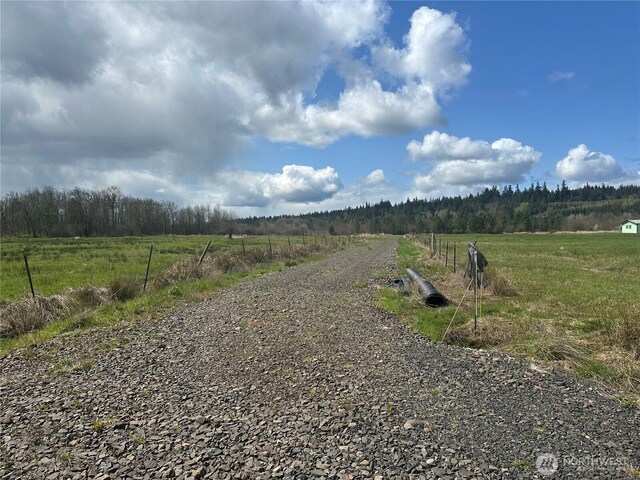 0 Nicholson Rd, Ethel, WA 98542 - photo 8