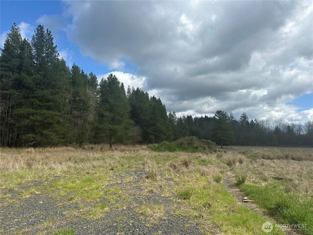 0 Nicholson Rd, Ethel, WA 98542 - photo 9