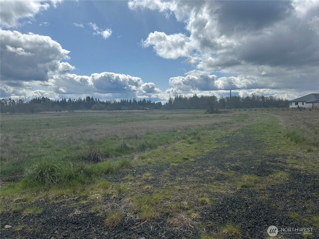0 Nicholson Rd, Ethel, WA 98542 - photo 11