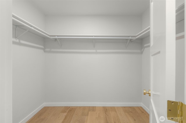 107 219th Pl SE, Bothell, WA 98021 - walk in closet with light wood-type flooring