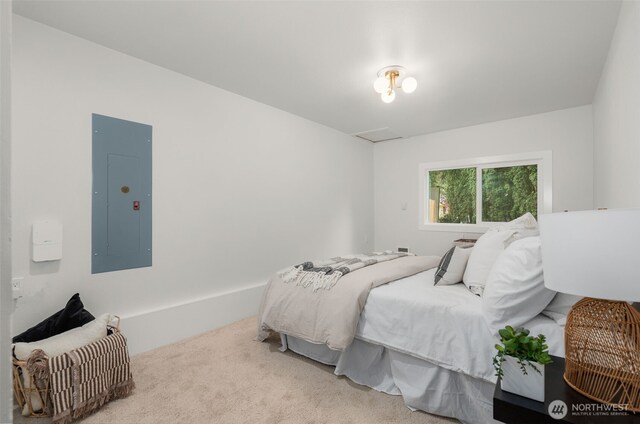 107 219th Pl SE, Bothell, WA 98021 - bedroom with electric panel and carpet floors