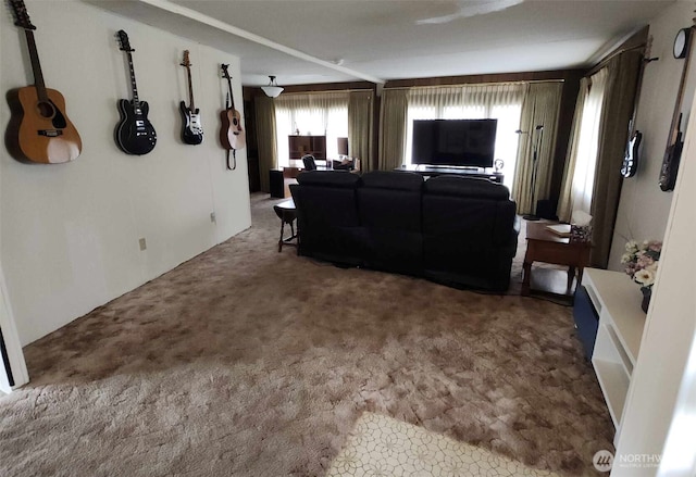 view of carpeted living area