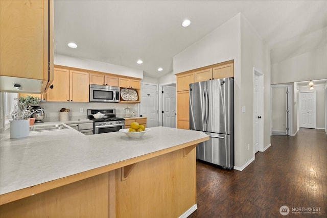 kitchen featuring a peninsula, appliances with stainless steel finishes, a sink, and light countertops