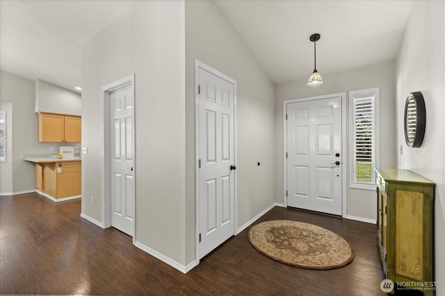 foyer entrance featuring lofted ceiling, baseboards, and dark wood finished floors