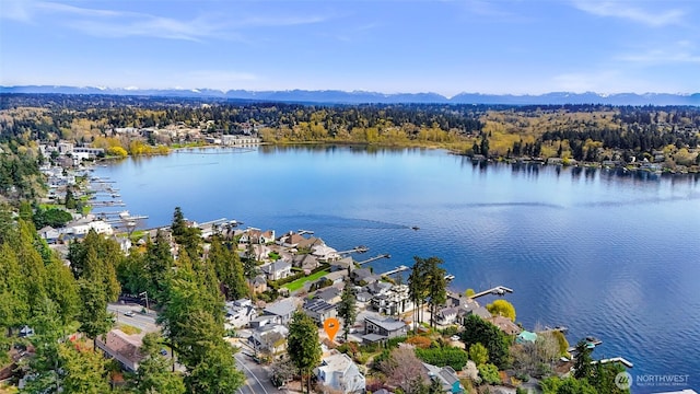 bird's eye view featuring a water view and a forest view