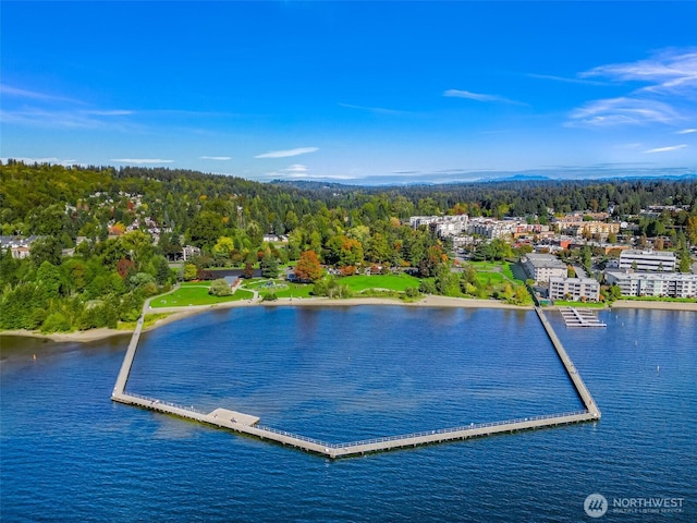 aerial view with a water view and a wooded view