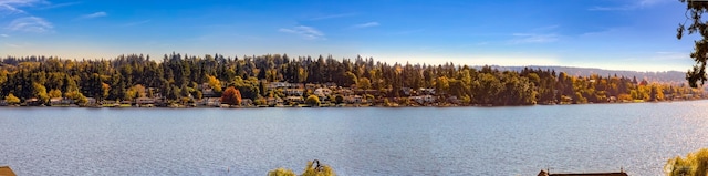 water view featuring a view of trees